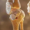 Sympoms Image